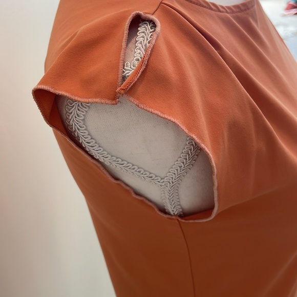 The Limited Salmon Stretchy Top. EUC - Picture 2 of 5